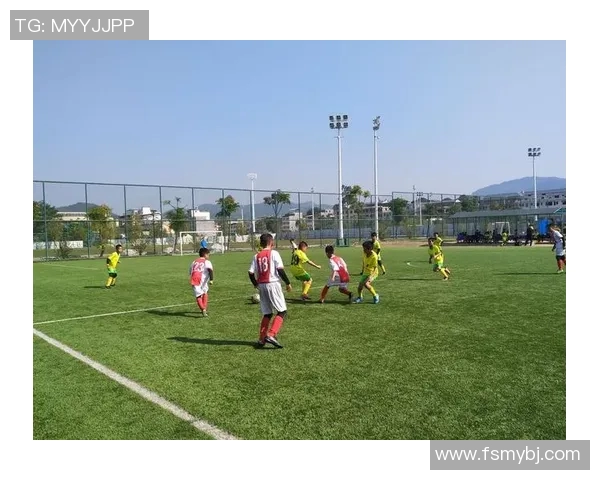 南京足球队的转型之路:从传统强队到现代足球的深度解析 南京足球队的转型之路:从传统强队到现代足球的深度解析