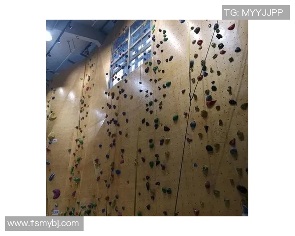 南京攀岩队反击战术解析与实战应用全景剖析 南京攀岩队反击战术解析与实战应用全景剖析