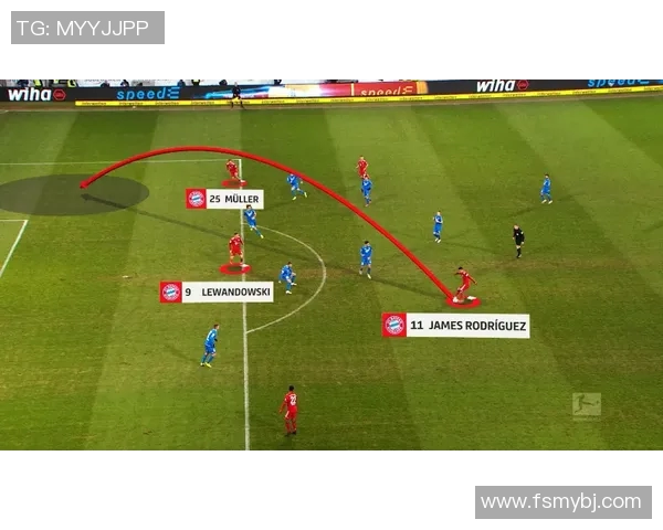 西安排球队的团队协作与战术配合深度分析与探讨 西安排球队的团队协作与战术配合深度分析与探讨