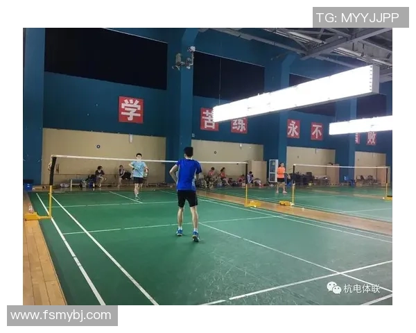 南京羽毛球队的控制策略与训练深度探秘之旅