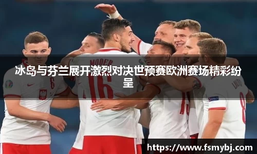 冰岛与芬兰展开激烈对决世预赛欧洲赛场精彩纷呈